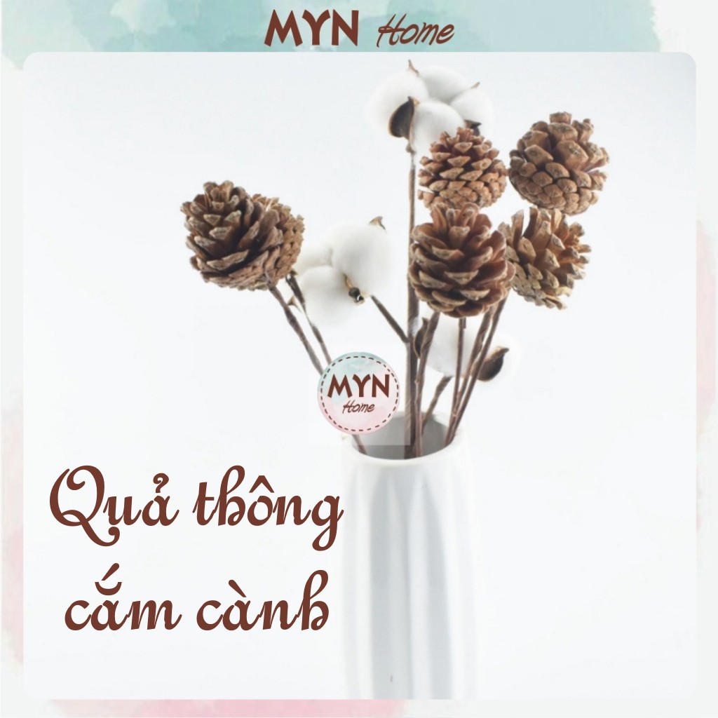 Quả thông khô trang trí Noel, decor, phụ kiện chụp ảnh MYN Home (có cành)