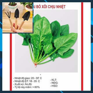 Hạt giống Cải Bó Xôi 15gr ~2500 hạt TẶNG BỘ LÀM VƯƠN MINI