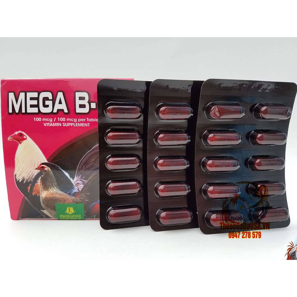 Mega B12 (1 Hộp 100 Viên) Thuốc Nuôi Gà Chế Độ Đá ❌Tăng Bo Khung❌