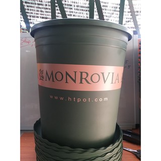 Combo Chậu Monrovia Trung Quốc