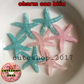 Charm sao biển