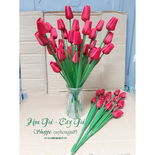 Hoa giả _ Hoa Tulip vải lụa 5 bông cành cao 53cm