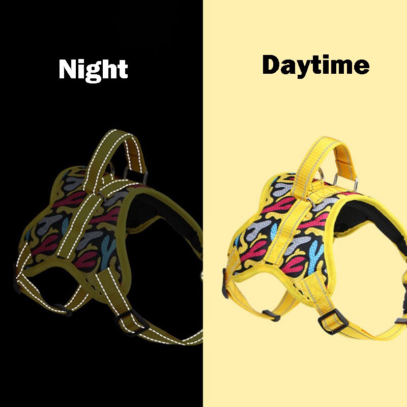 Dây DẫN Thú Cưng Đi DạO