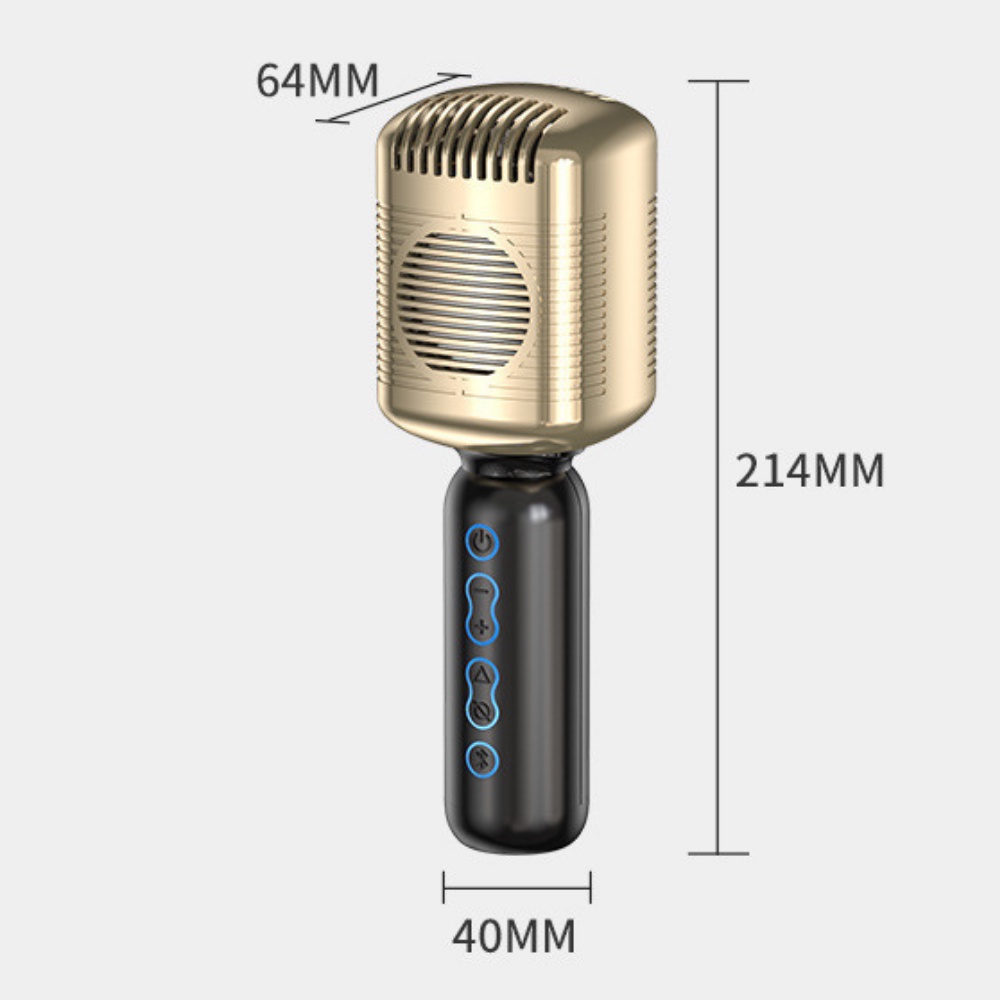 Mic hát bluetooth kèm loa Micro KM600