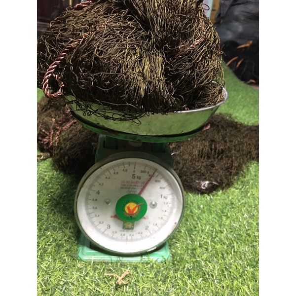 Lưới úp chim héc xoan. mắt 5cm dù thái
