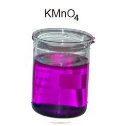 thoc tim làm sạch vi khân có hại cho hồ cá, hồ thủy sinh