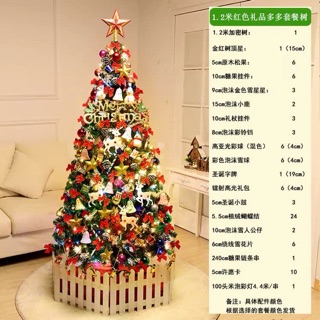 Cây thông noel