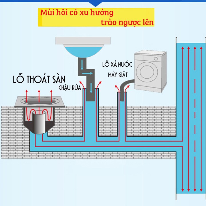 Bộ Ống Chặn Mùi Hôi Thối Cống Ngăn Mùi Hôi Lỗ Thoát Sàn Tự Chọn Kích Thước EZMART