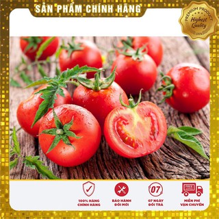 Hạt giống cà chua ấn độ gói 30 hạt