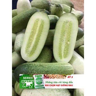 Dưa chuột mèo 10 hạt