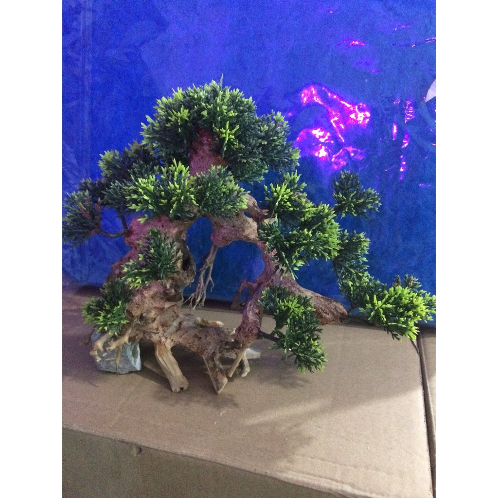 Lũa Bonsai Mini Trang Trí Bể Cá - Bể Thủy Sinh