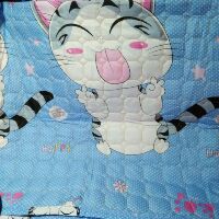 Chăn Cotton Chần Gòn 2 mặt 1m7x2m