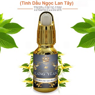 Tinh dầu ngọc lan tây 20ml - Ylang Ylang EO nguyên chất thiên nhiên Ấn Độ - Ngủ ngon, thư giãn