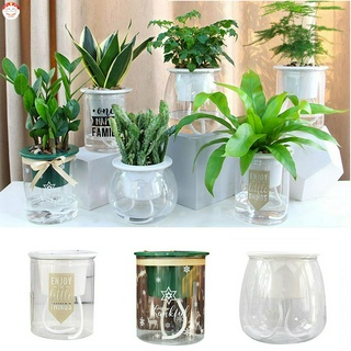 Chậu Cây Mini Tự Tưới Nước Tiện Lợi