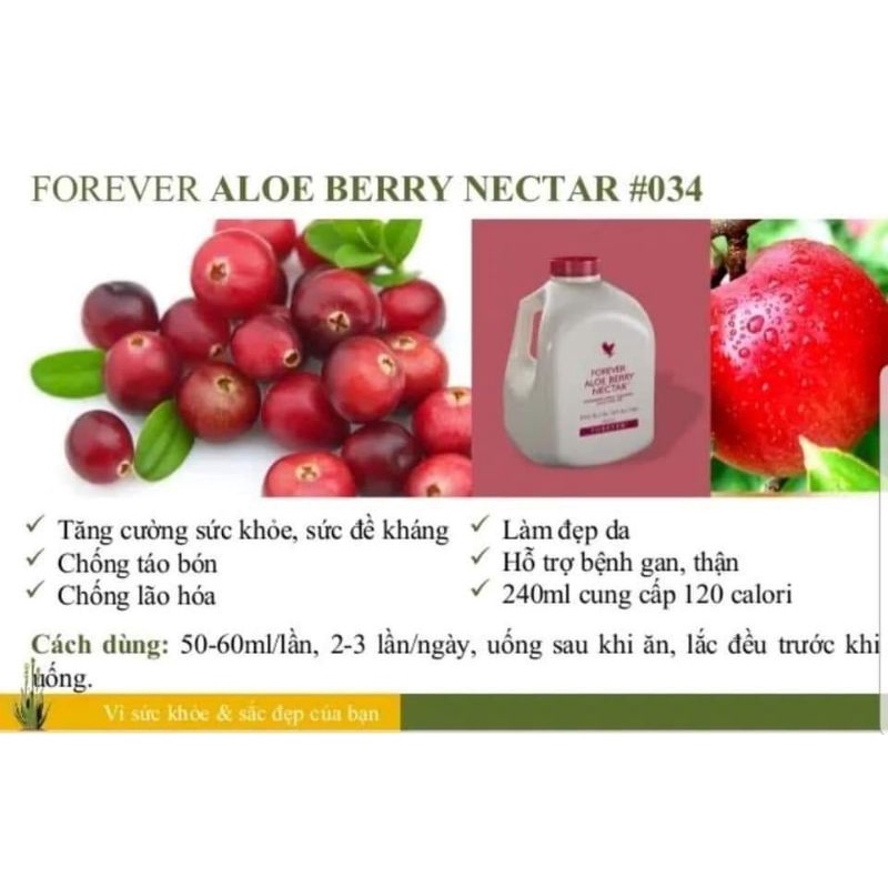 Nước uống dinh dưỡng nha đam hương táo và man Việt quất Aloe Berry Nectar [034flp]