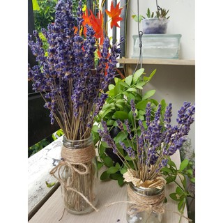 Lọ hoa Lavender nhập khẩu Pháp