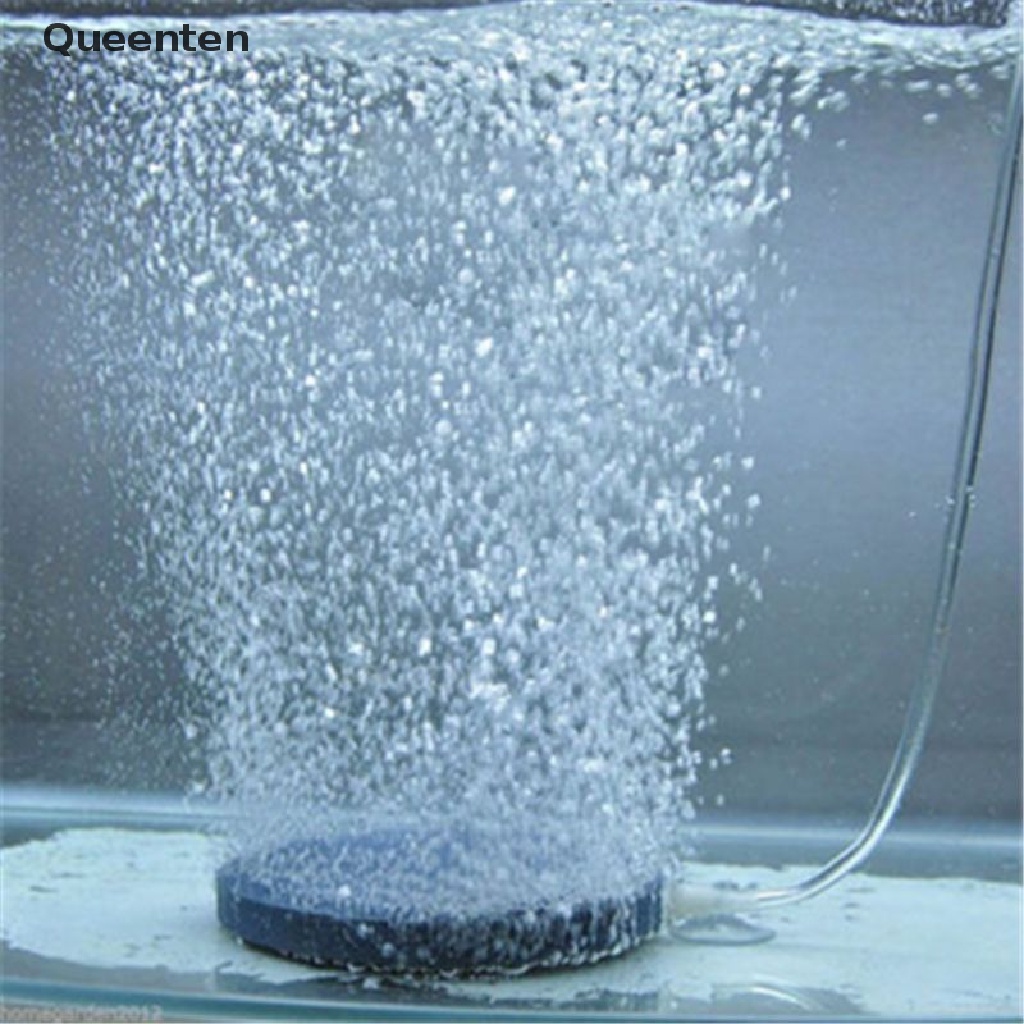 Queenten Air Bubble Stone Aerator for Aquarium Fish Tank Pump Hydroponic Oxygen Plate QT