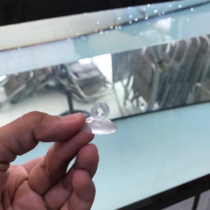 Hít kính dán thành hồ