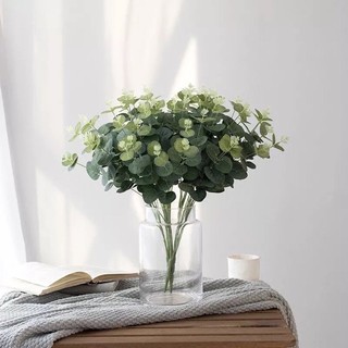 Cụm lá táo mốc