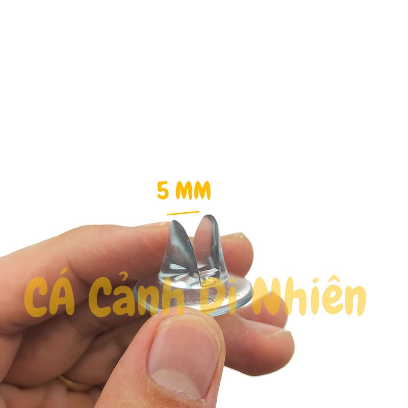 Hình ảnh Bộ 2 chân hít CAO SU giữ kính ngăn hồ cá (hít kính 5MM) #3
