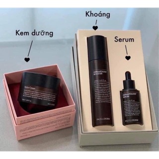 Bộ dưỡng da căng bóng Incellderm