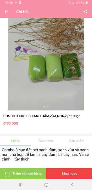 3 CỤC ĐS XANH ĐẬM , NON, VỪA/Cục 100gr