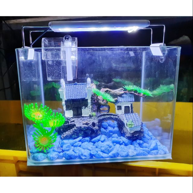 COMBO HỒ CÁ TRANG TRÍ SẴN 26x17x19cm 920
