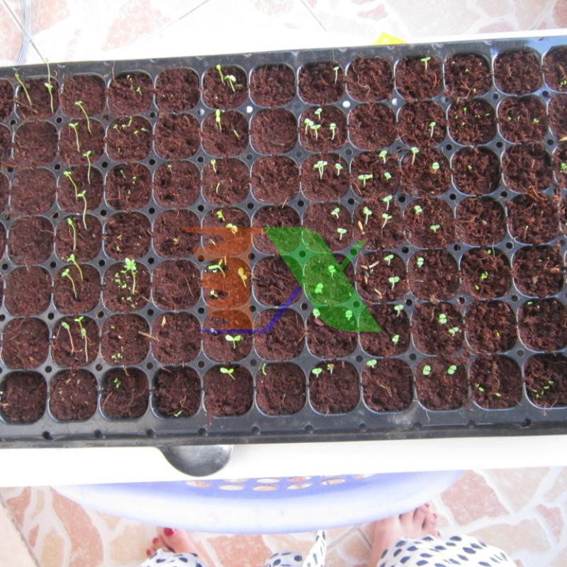 Xơ dừa trồng rau, Mùn dừa ươm hạt, mụn cám sơ dừa ươm cây Trồng hoa (40 lít)