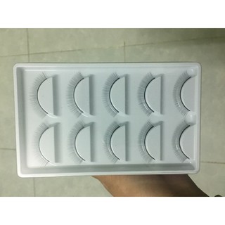 mi giả dán đầu canh tập nối mi