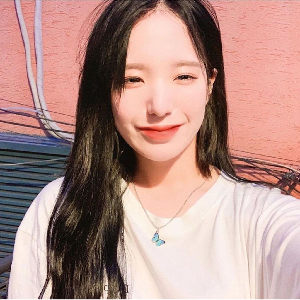 Butterfly necklace simple personality hip-hop pendant clavicle chain