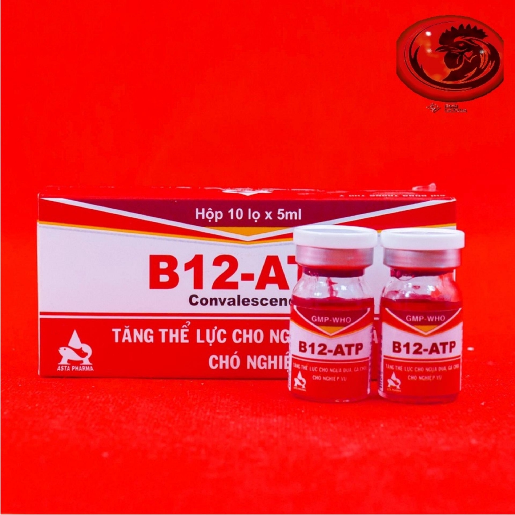 Combo 4 lọ Thuốc tăng B12 ATP - Thuốc gà đá A Long