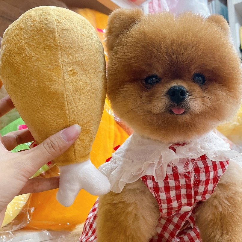 Đùi gà bông siêu to đồ chơi cho chó mèo