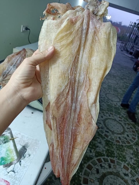 Combo 1kg mực khô nhỡ + 5 con mực khô size đại | BigBuy360 - bigbuy360.vn