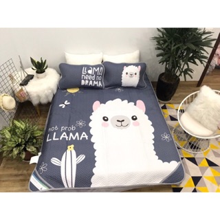 Chiếu điều hoà tencel hàng loại 1 siêu mát