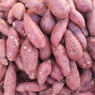 1kg khoai lang nhật quê siêu bở.