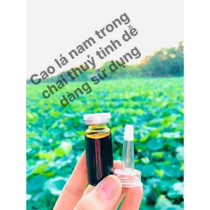 Cao lá nam Chuẩn Loại 1 ( mua 5 Tặng 1 )