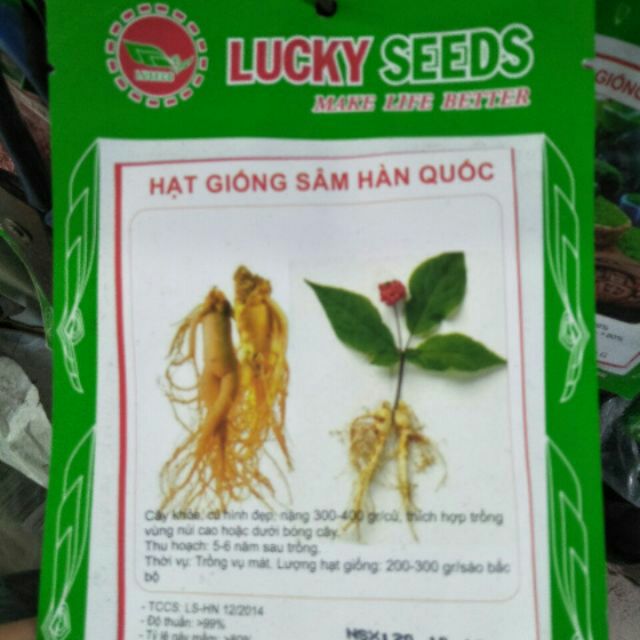 Gói hạt giống sâm Hàn Quốc