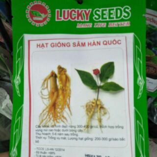 Gói hạt giống sâm Hàn Quốc