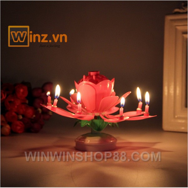 Nến nở hoa và phát nhạc V.2  - muasamhot1208