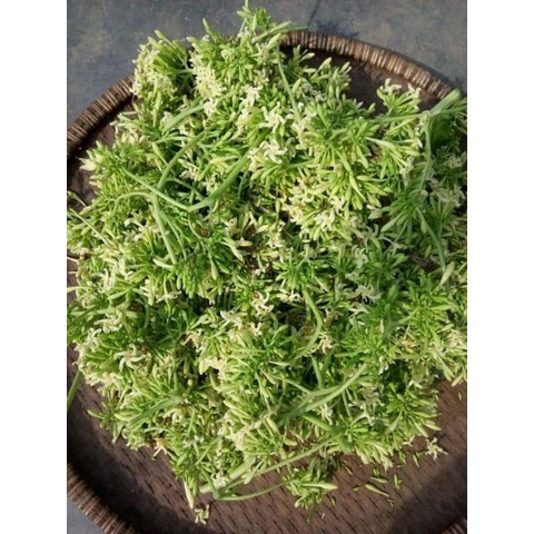 hoa đu đủ đực sấy khô