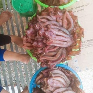 Khô cá lóc loại nhỏ