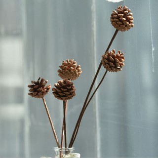 Quả thông khô trang trí decor (có cành)