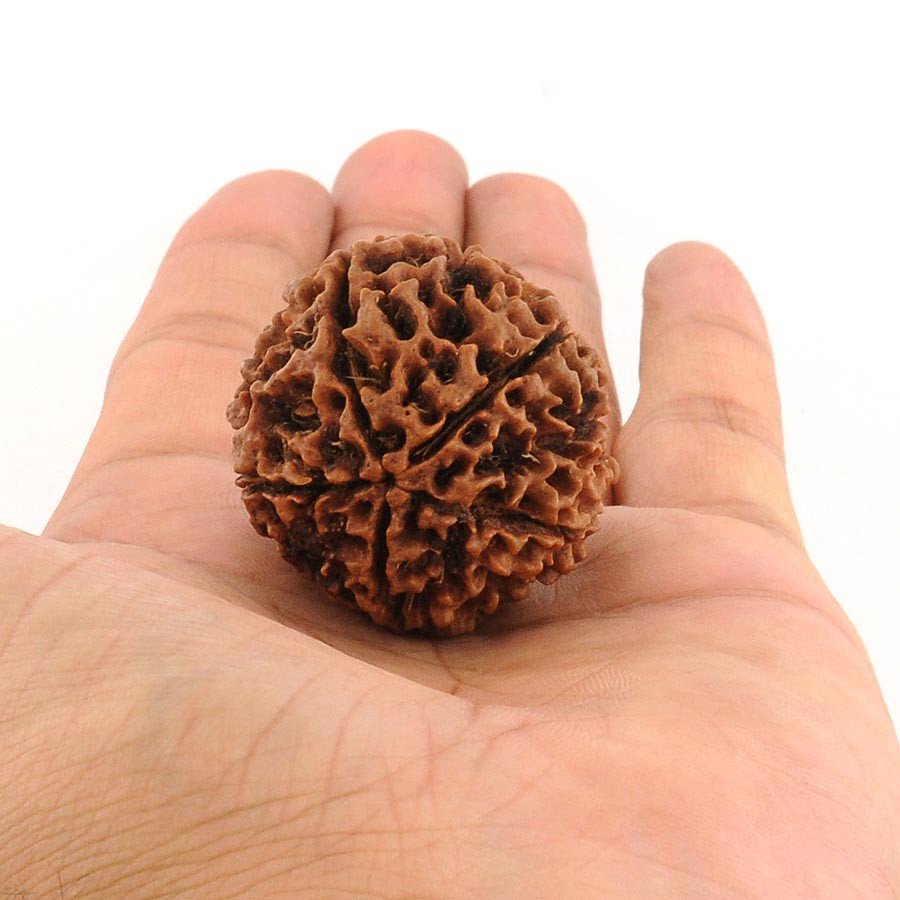 Vòng Tay 21 Hạt Bồ Đề Kim Cang (Rudraksha) Từ Tibet, Mệnh Mộc, Hoả, Chuỗi Hạt , Vòng Tay Phong Thuỷ S45 - Bead Art