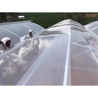 Màng nhà kính che mưa gió khổ 3.2m của Israel (Lẻ từ 5m) - Thương hiệu Ginegar | Thanhdatvina