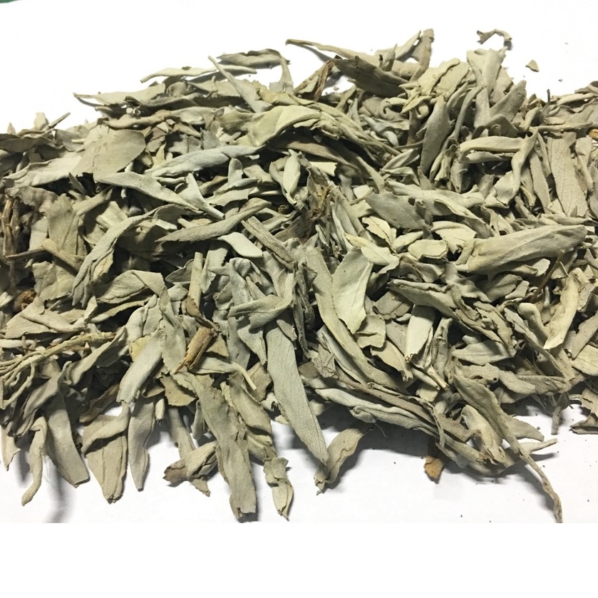 White Sage - Lá xô thơm trắng