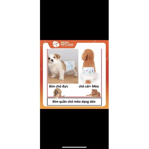 Bỉm cho chó mèo cao cấp