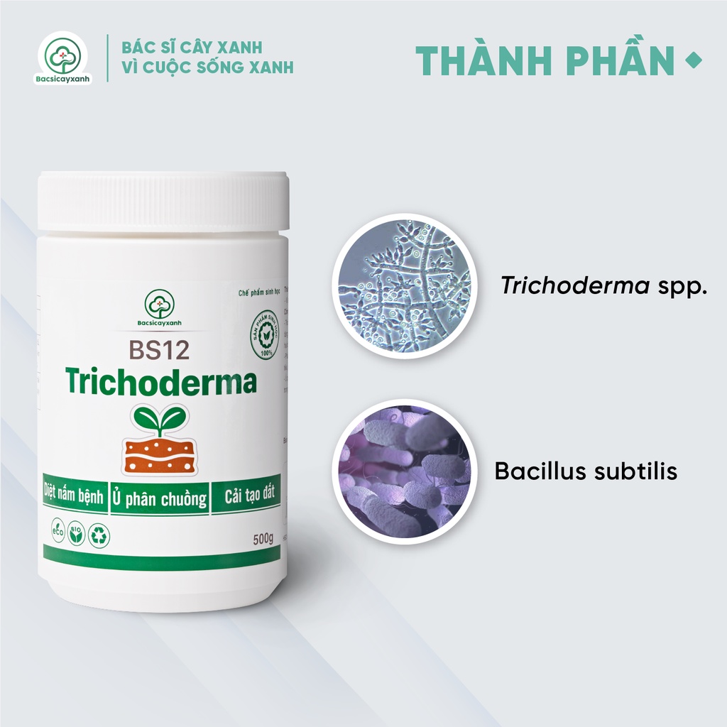 Trichoderma BS12 - Chế phẩm sinh học cải tạo đất, ủ phân chuồng, diệt nấm bệnh - 500gram