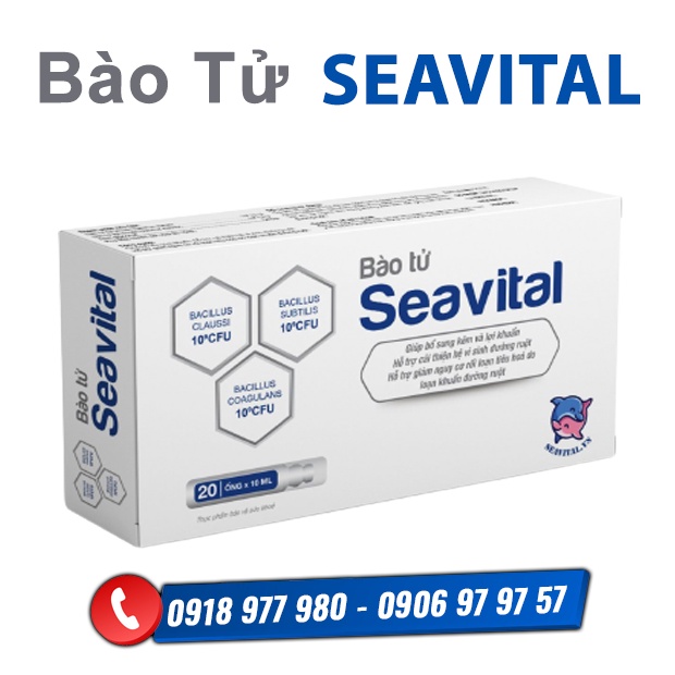 BÀO TỬ lợi khuẩn SEAVITAL - Giúp bổ sung kẽm và lợi khuẩn, hỗ trợ cải thiện hệ vi sinh đường ruột