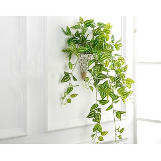 Giỏ treo cây dây leo - Giỏ mây