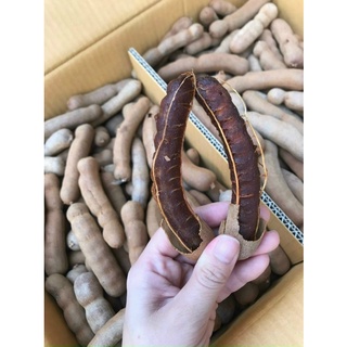 Me dốt thái